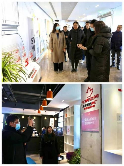 探索非公党建新路径 赋能区域发展新活力——朝阳区委组织部课题组到东风地区开展专题调研并推动职业介绍服务